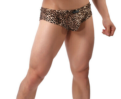 Leopard Brown Animal Print Boxer Shorts