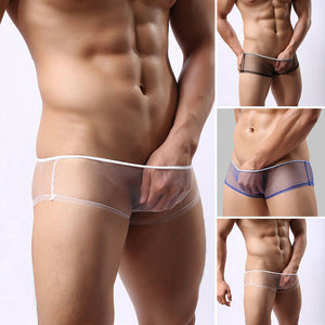 White Sexy Mesh Briefs