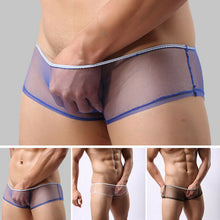 Load image into Gallery viewer, Blue Sexy Mesh Briefs