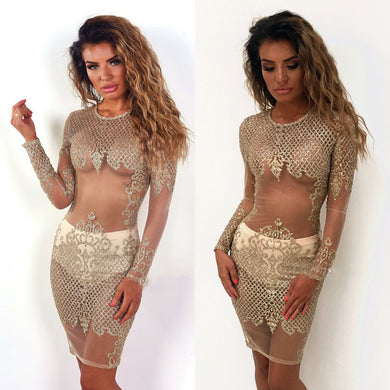 Gold and Glitter Sheer Long Sleeve Cocktail Dress