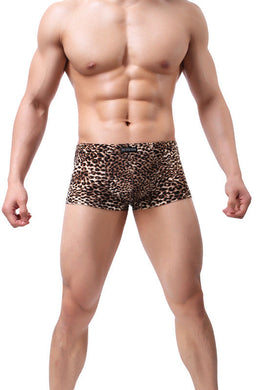 Leopard Brown Animal Print Sexy Low Rise Briefs